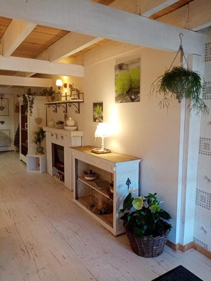 Gite Ferme La Rosee Blanche Laveline Exteriér fotografie