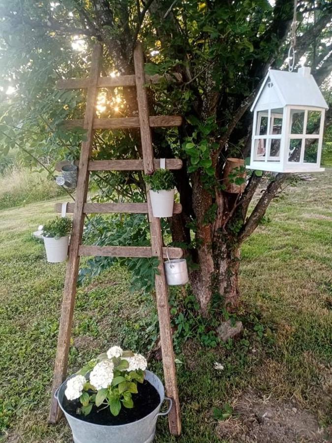 Gite Ferme La Rosee Blanche Laveline Exteriér fotografie